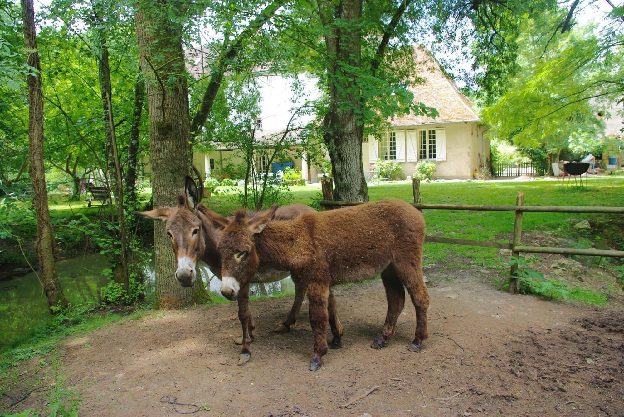 Maison D'Hotes Moulin Du Bas Pese Mont-pres-Chambord Bagian luar foto